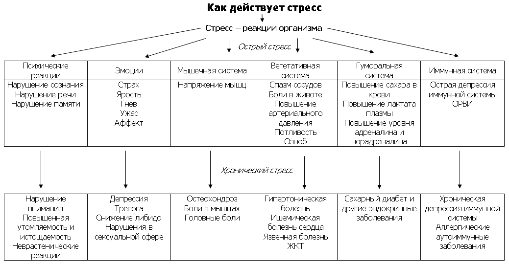 Как действует стресс Как действует стресс