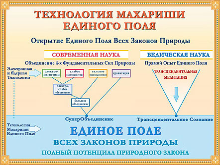 Единое поле